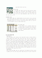 적조(바다의 검은 독) 6페이지