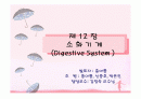 소화기계ppt정리 1페이지
