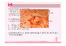 소화기계ppt정리 15페이지
