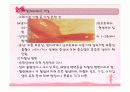 소화기계ppt정리 20페이지
