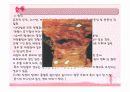 소화기계ppt정리 25페이지