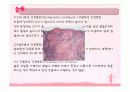 소화기계ppt정리 37페이지