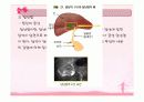 소화기계ppt정리 45페이지