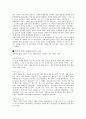 교황에 관한 고찰 4페이지