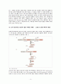 RNAi에 대해서 16페이지