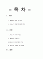 졸업논문 와이브로(Wibro;휴대인터넷) 1페이지
