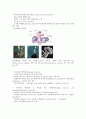 세균 (박테리아;대표적 세균류) 22페이지