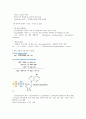 세균 (박테리아) - 광합성 세균류,질소고정 박테리아,무기영양세균(Lithotrophs),메탄 산화 박테리아,Methanogens 등 9페이지