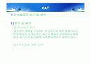 아동심리평가 - 투사검사,로샤 검사,그림검사,CAT,BGT,문장완성검사,동적가족화검사 28페이지