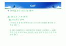아동심리평가 - 투사검사,로샤 검사,그림검사,CAT,BGT,문장완성검사,동적가족화검사 29페이지