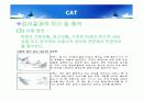 아동심리평가 - 투사검사,로샤 검사,그림검사,CAT,BGT,문장완성검사,동적가족화검사 31페이지