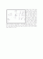 아동심리평가 - 투사검사,로샤 검사,그림검사,CAT,BGT,문장완성검사,동적가족화검사 27페이지