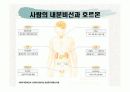 내분비계교란물질과 대책 4페이지