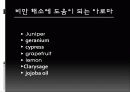 다이어트와 아로마테라피 14페이지