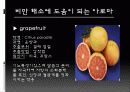 다이어트와 아로마테라피 18페이지