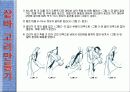 씨름에 대한 파워포인트 7페이지