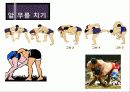 씨름에 대한 파워포인트 17페이지