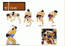 씨름에 대한 파워포인트 19페이지