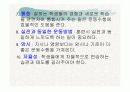 태권도 프로그램(예절,겨루기) 12페이지