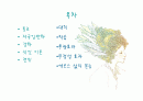 속담으로 배우는 방어기제 2페이지