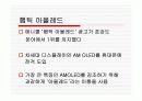 햅틱아몰레드에 관한 고찰 3페이지