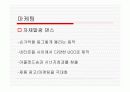 햅틱아몰레드에 관한 고찰 10페이지