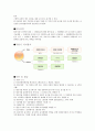 원산지표시제도에 관한 고찰 5페이지