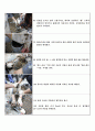 토질역학 실험1(다짐실험) 5페이지