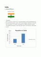 India, Argentina, Turkey 4P analysis, SWOT analysis 4페이지