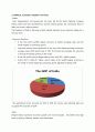 India, Argentina, Turkey 4P analysis, SWOT analysis 5페이지