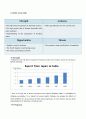 India, Argentina, Turkey 4P analysis, SWOT analysis 6페이지