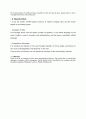 India, Argentina, Turkey 4P analysis, SWOT analysis 7페이지