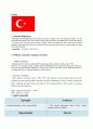 India, Argentina, Turkey 4P analysis, SWOT analysis 8페이지