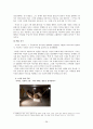 가부장제 사회와 미디어 세계에서의 여성 차별 및 지성인들의 비판과 반론 29페이지