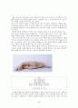 가부장제 사회와 미디어 세계에서의 여성 차별 및 지성인들의 비판과 반론 30페이지