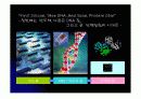 단백질칩(Protein chip)의 응용 4페이지