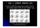 단백질칩(Protein chip)의 응용 8페이지