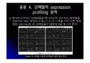 단백질칩(Protein chip)의 응용 9페이지