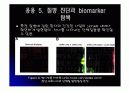 단백질칩(Protein chip)의 응용 10페이지