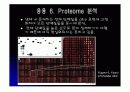 단백질칩(Protein chip)의 응용 11페이지