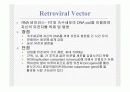 전달시스템(Delivery system)의 정의및 유형 5페이지