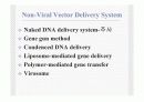 전달시스템(Delivery system)의 정의및 유형 11페이지