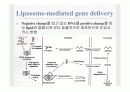 전달시스템(Delivery system)의 정의및 유형 12페이지