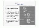 전달시스템(Delivery system)의 정의및 유형 17페이지