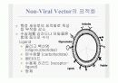 전달시스템(Delivery system)의 정의및 유형 18페이지