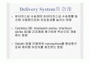 전달시스템(Delivery system)의 정의및 유형 20페이지