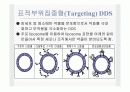 전달시스템(Delivery system)의 정의및 유형 25페이지