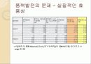 녹색 성장을 이루기 위한 접근방법  12페이지