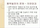 녹색 성장을 이루기 위한 접근방법  13페이지