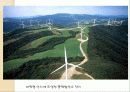 녹색 성장을 이루기 위한 접근방법  15페이지